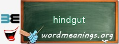 WordMeaning blackboard for hindgut